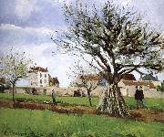 Camille Pissarro Pang map of apple Schwarz oil on canvas